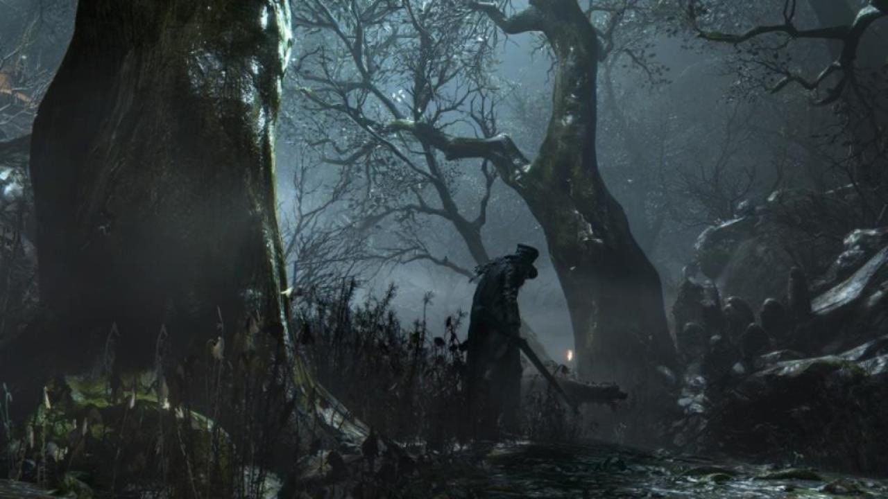 Bloodborne – düsterer Wald