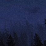 Fears to Fathom: Ironbark Lookout – Titelbild