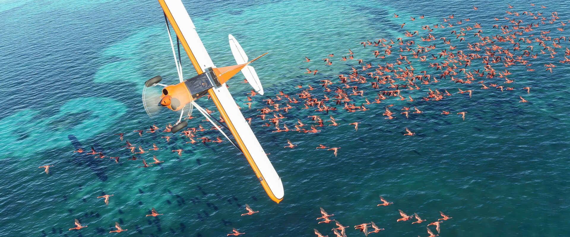 Microsoft Flight Simulator (2020) – Flugzeug über Flamingos