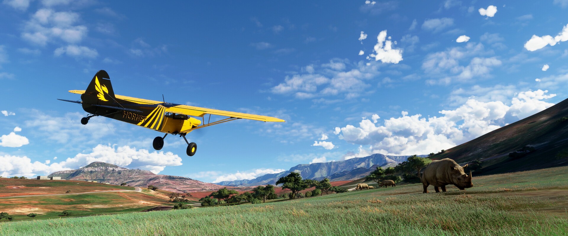 Microsoft Flight Simulator (2020) – Flugzeug über einer Savanne