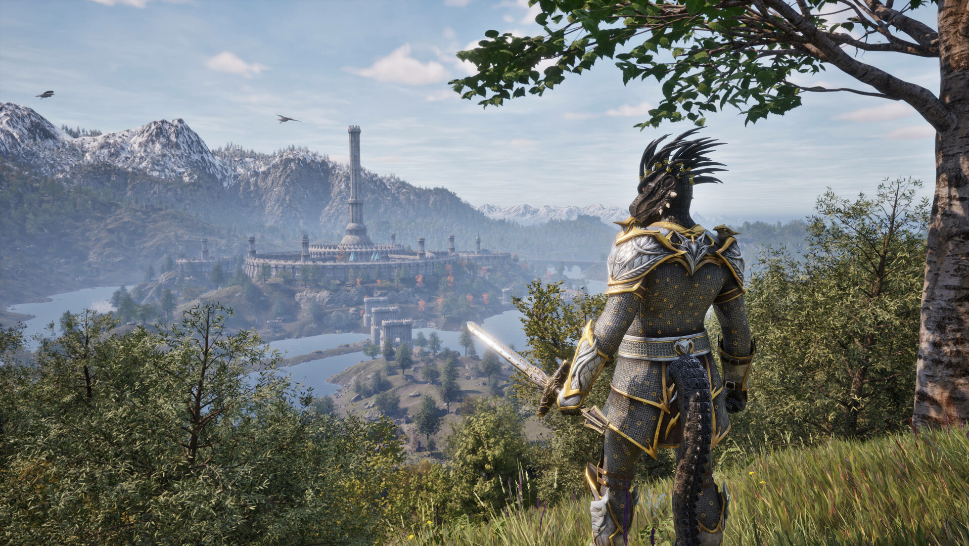 The Elder Scrolls IV: Oblivion Remastered – Landschaft von Cyrodiil