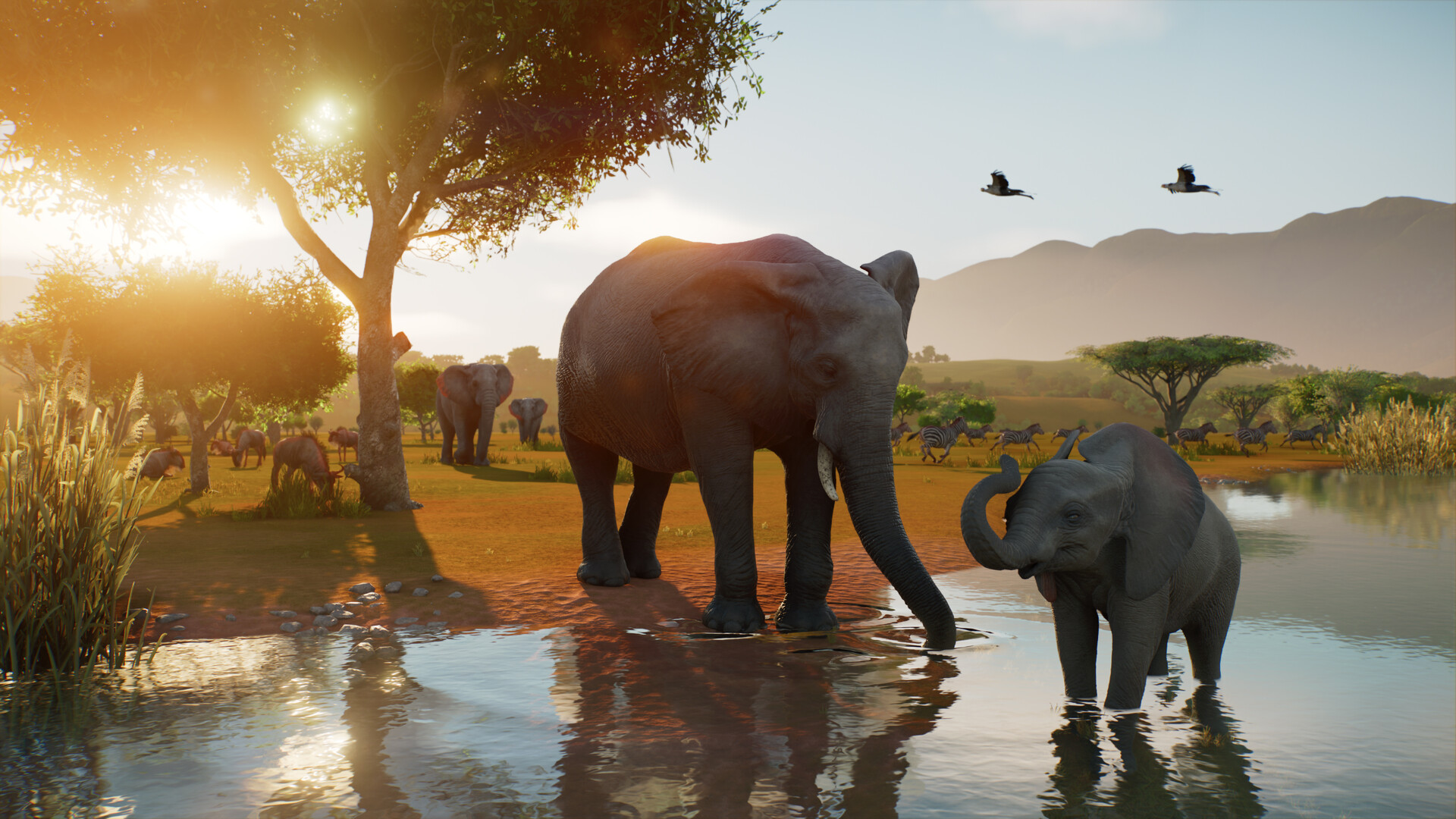 Planet Zoo 2 Screenshot: Elefanten am Wasserloch