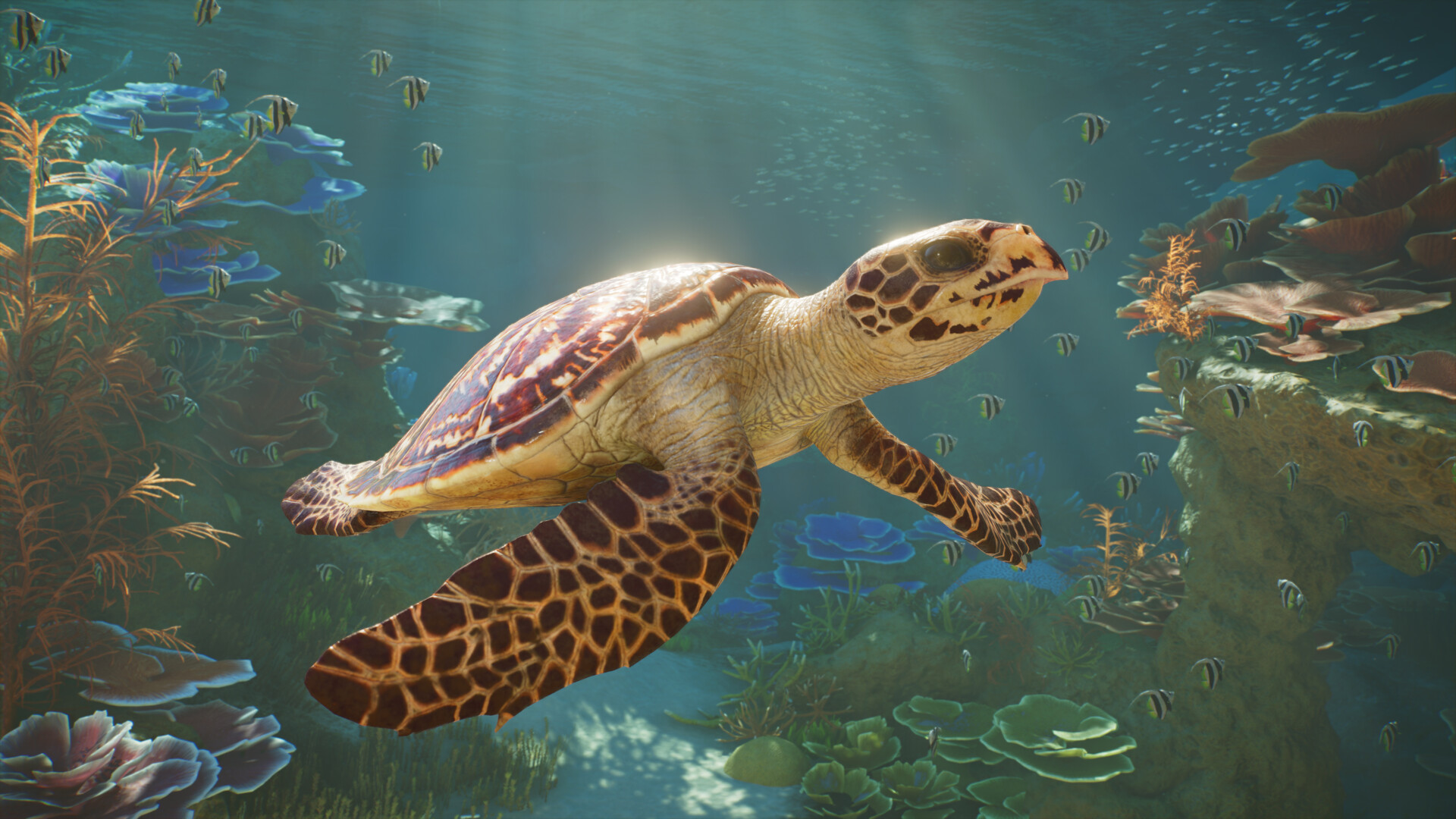 Planet Zoo 2 Screenshot: Karettschildkröte im Aquarium