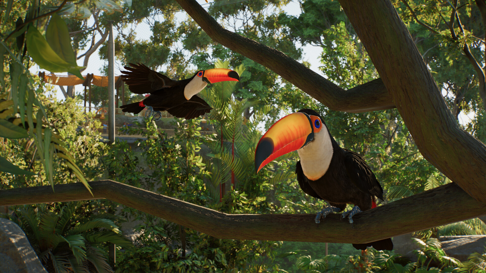 Planet Zoo 2 Screenshot: Riesentukane in einer Voliere