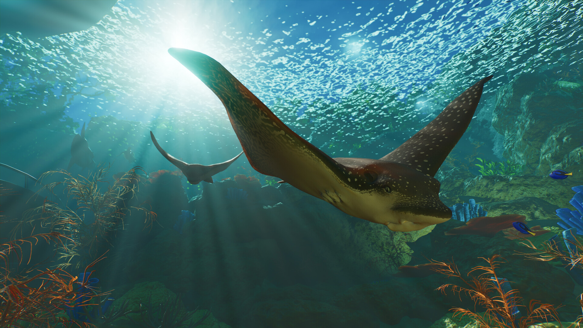 Planet Zoo 2 Screenshot: Mantarochen im Aquarium