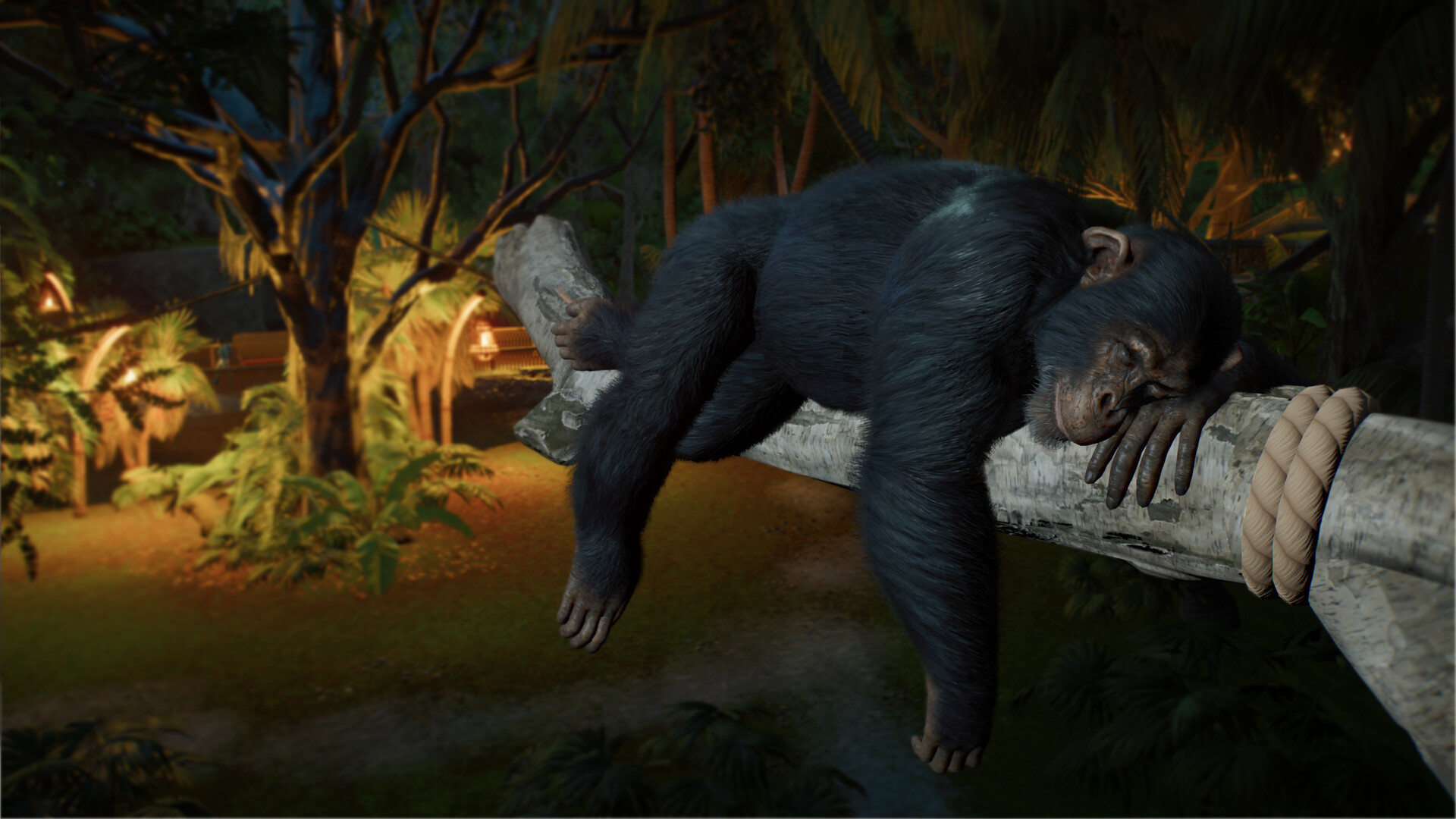 Planet Zoo 2 Screenshot: Schimpanse ruht auf einem Ast