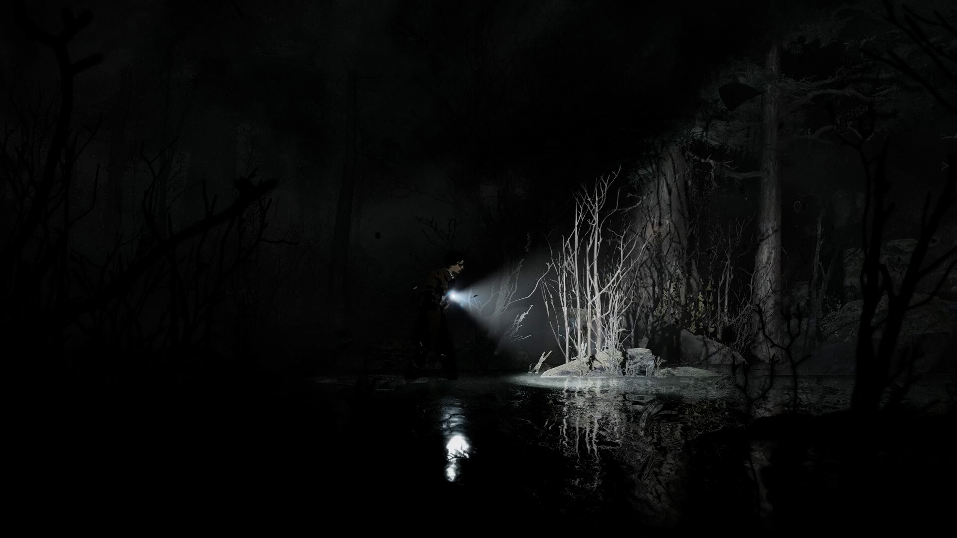 Silver Pines: Taschenlampenlicht auf einem kahlen Baum im Wasser