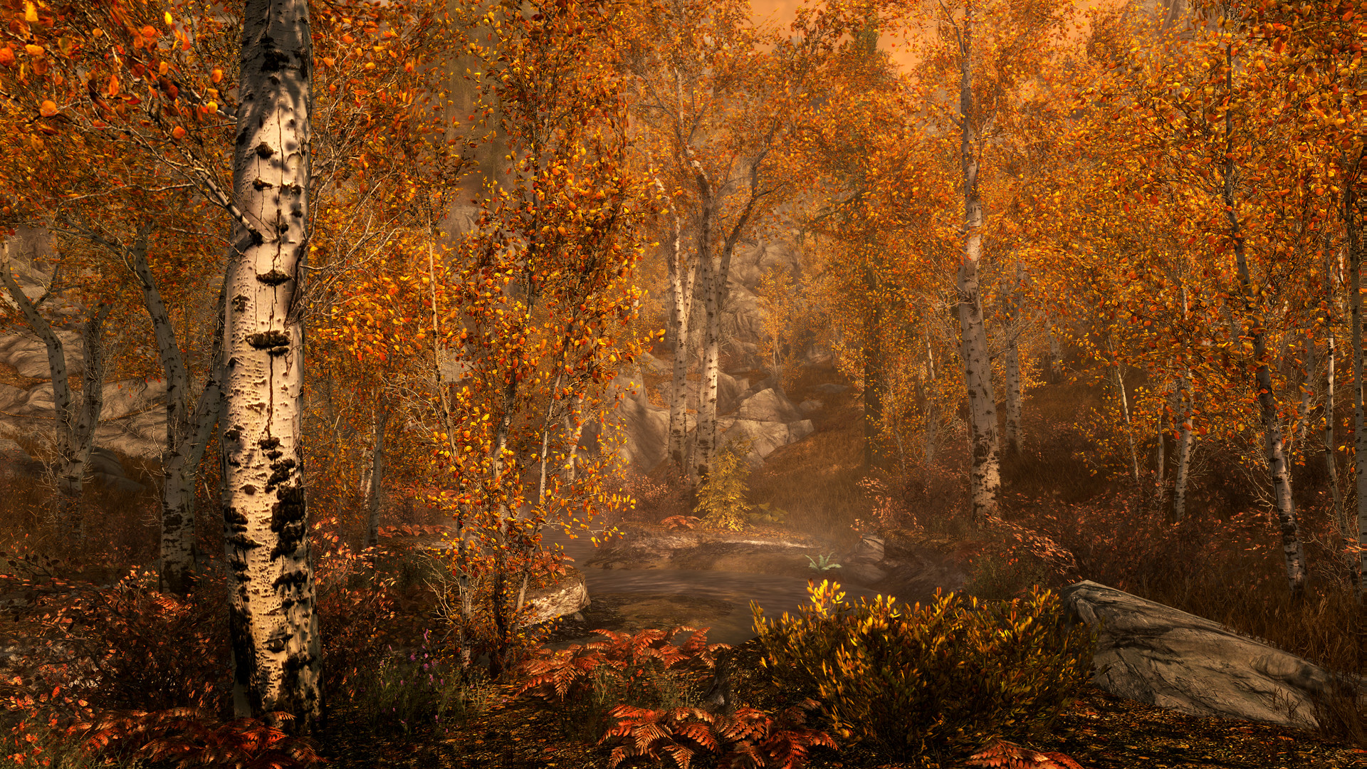 The Elder Scrolls V: Skyrim Special Edition – Stadt Weißlauf