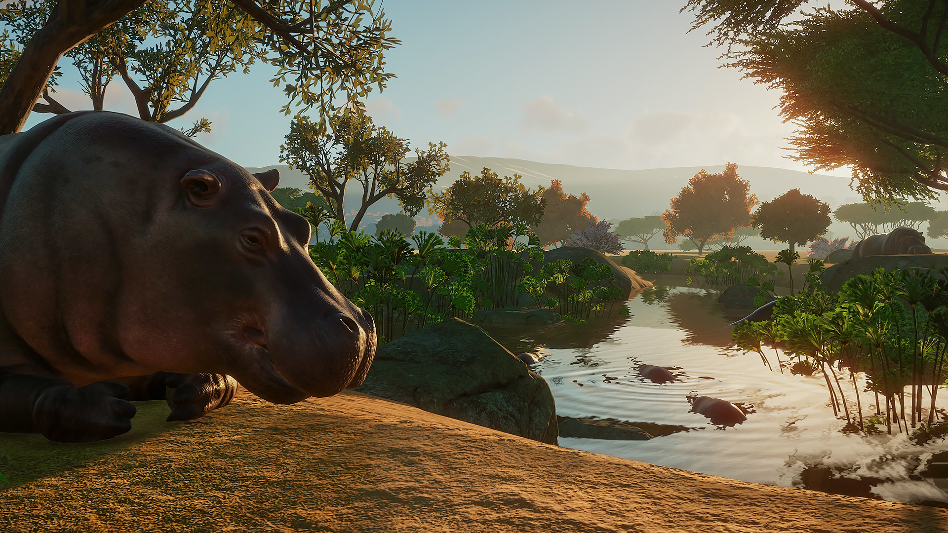 Planet Zoo: Ein Flusspferd steht am Ufer seines Geheges