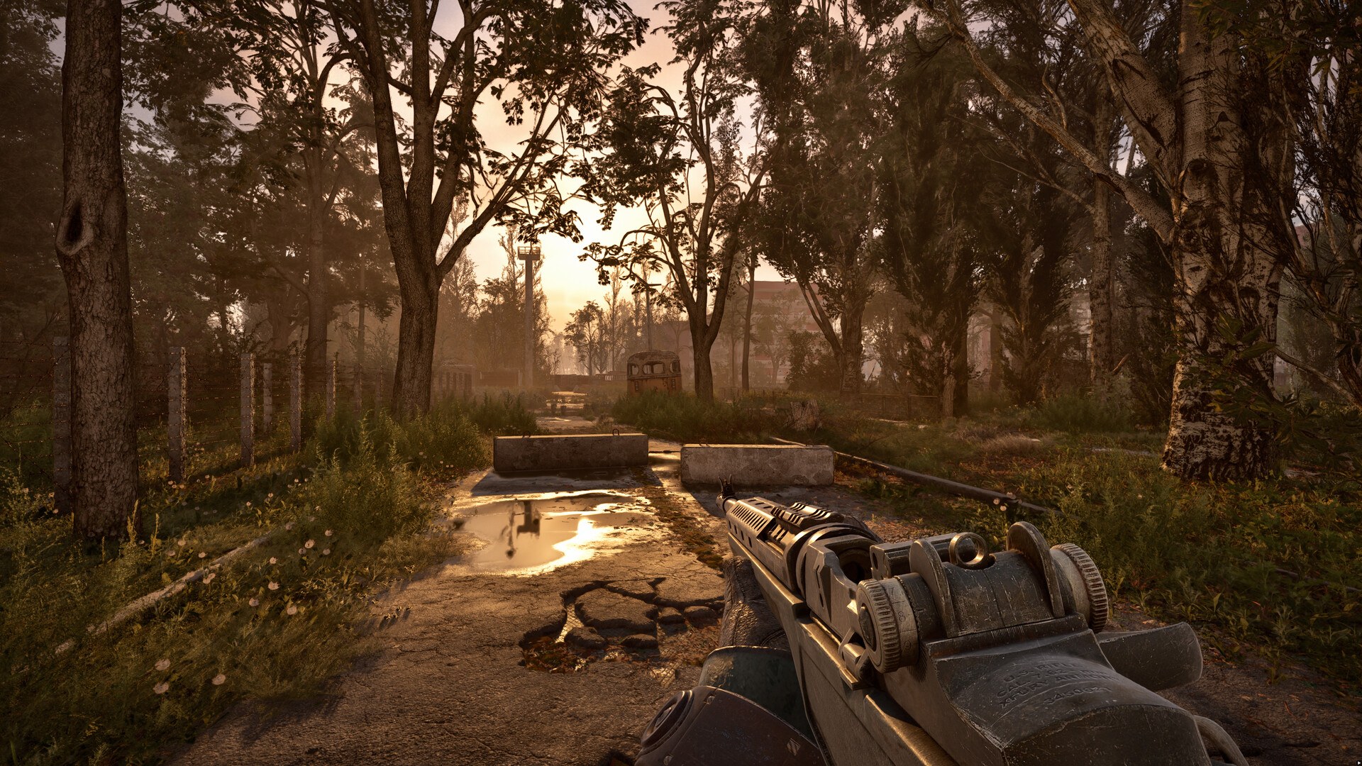 S.T.A.L.K.E.R. 2 – Waldweg mit Anomalie und Sturmgewehr